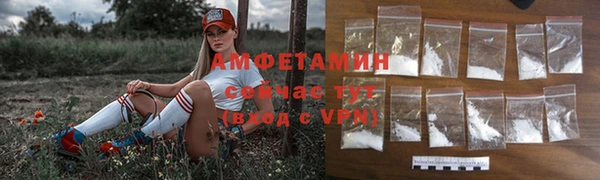 гашик Козельск