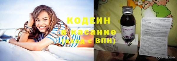 гашик Козельск