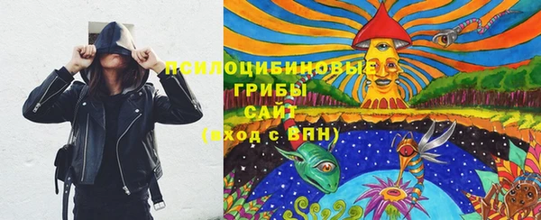 мяу мяу мука Кодинск