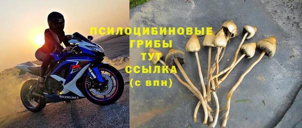 герыч Козловка
