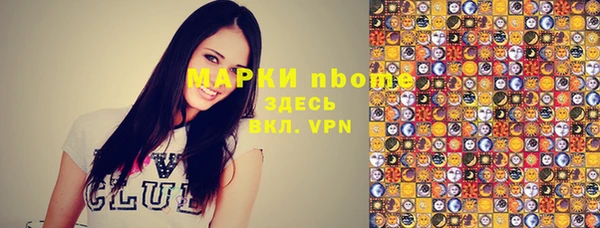 гашик Козельск
