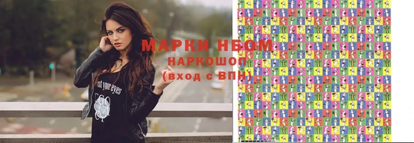 гашик Козельск