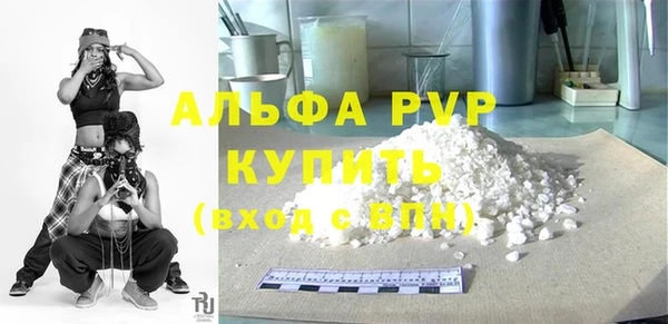 гашик Козельск